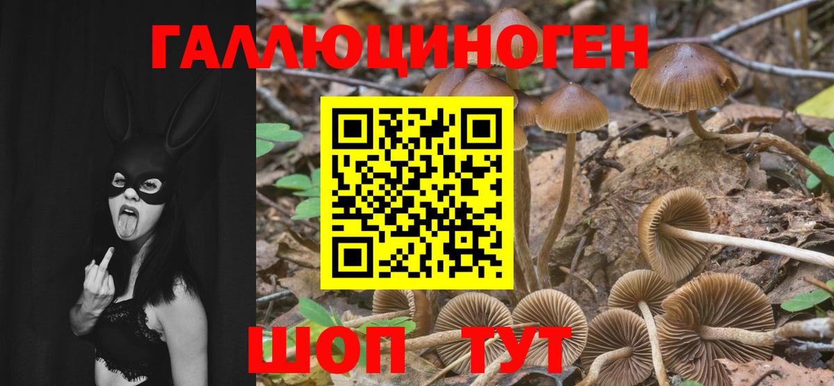 Галлюциногенные грибы мицелий  Вход с VPN  Ессентуки 