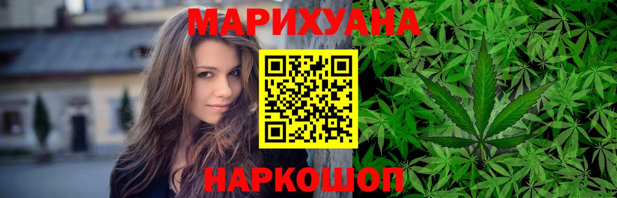 Марихуана OG Kush Ессентуки